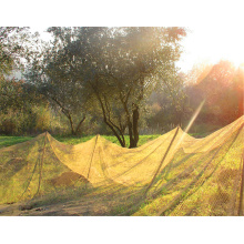 Новый дизайн ПЭНД оливково-зеленый предохранения от плодоовощ упаковывая сетчатый